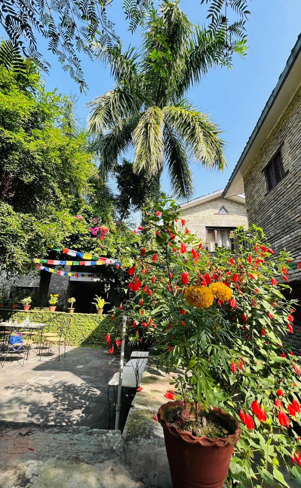 Mum's Garden Resort Pokhara Buitenkant foto